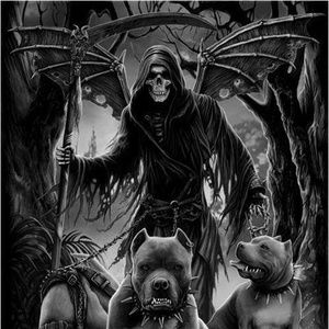 Meet your Posher, Shawn